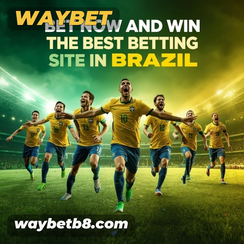 Transparência RTP da waybet